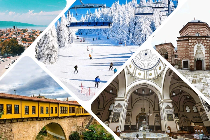 Bursa