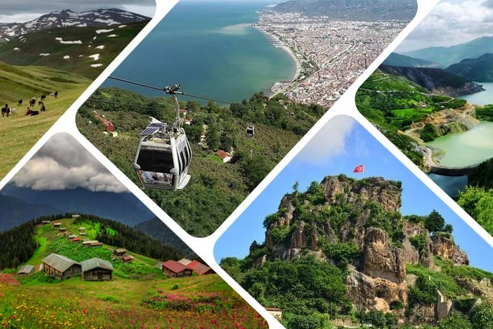 Ordu
