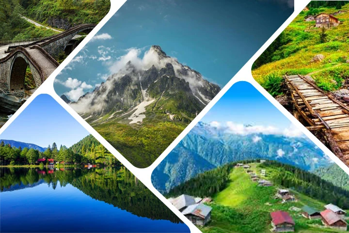 Rize